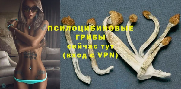 прущий лед Ахтубинск