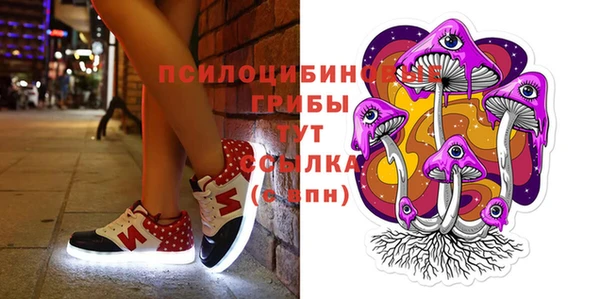 прущий лед Алексин